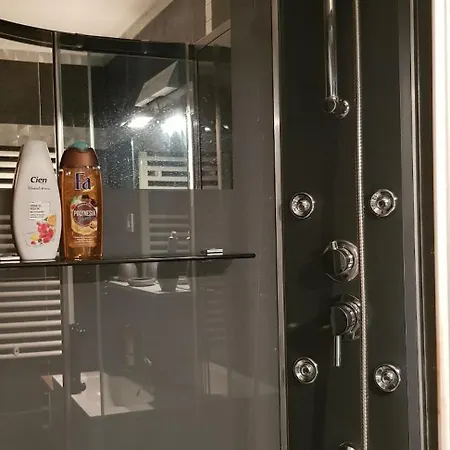 Super F1 Bis Climatise Mezzanine Apartment *