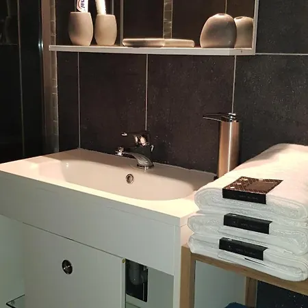Appartement Super F1 Bis Climatise Mezzanine Dijon
