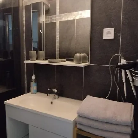 Super F1 Bis Climatise Mezzanine Apartment Dijon