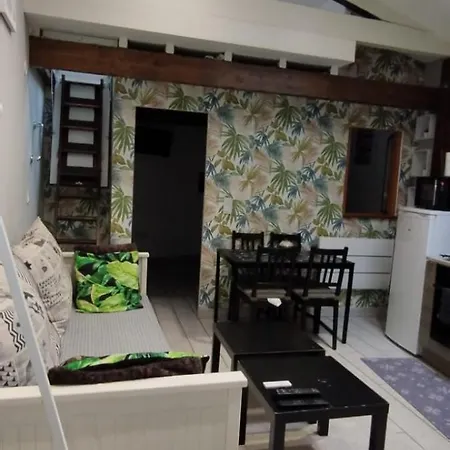 Super F1 Bis Climatise Mezzanine Apartment